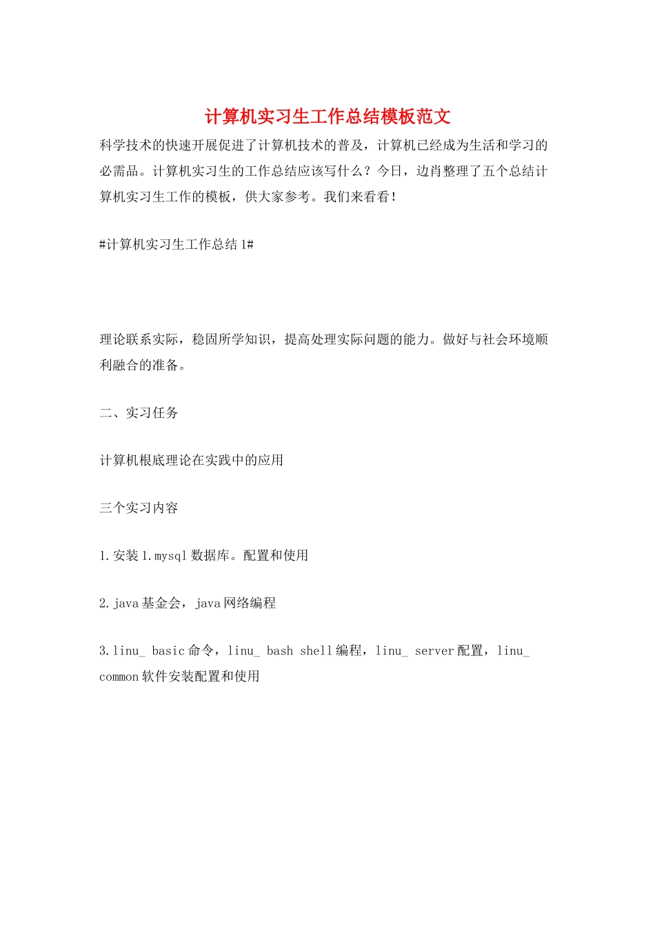 计算机实习生工作总结模板范文_第1页