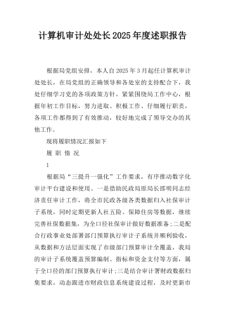 计算机审计处处长2025年度述职报告