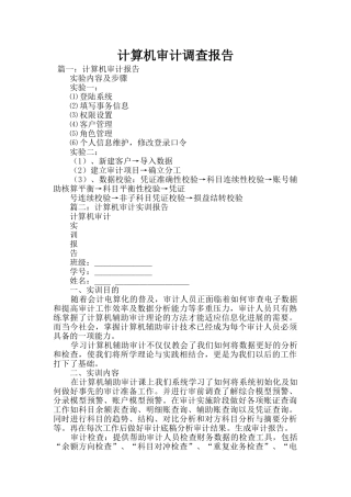 计算机审计调查报告