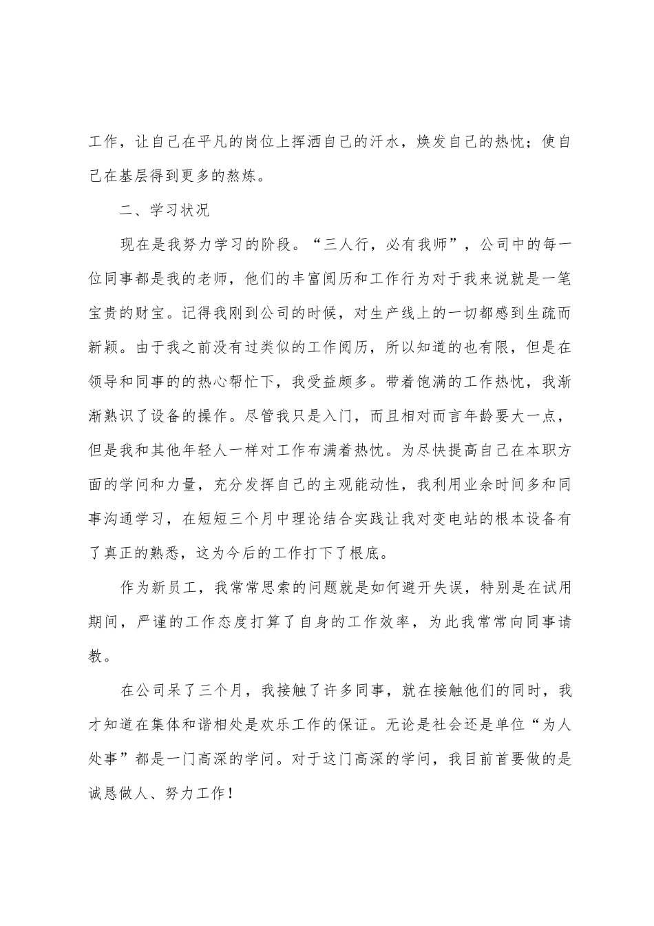 计算机技术员个人工作总结_第2页