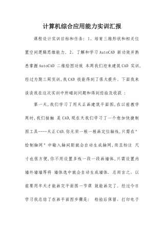 计算机综合应用能力实训总结报告