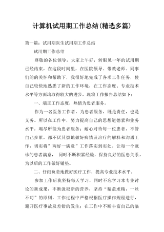 计算机试用期工作总结