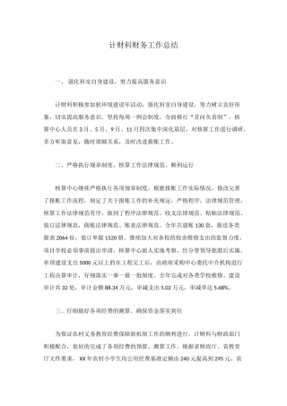 计财科财务工作总结