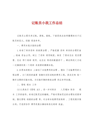 记账员小我工作总结