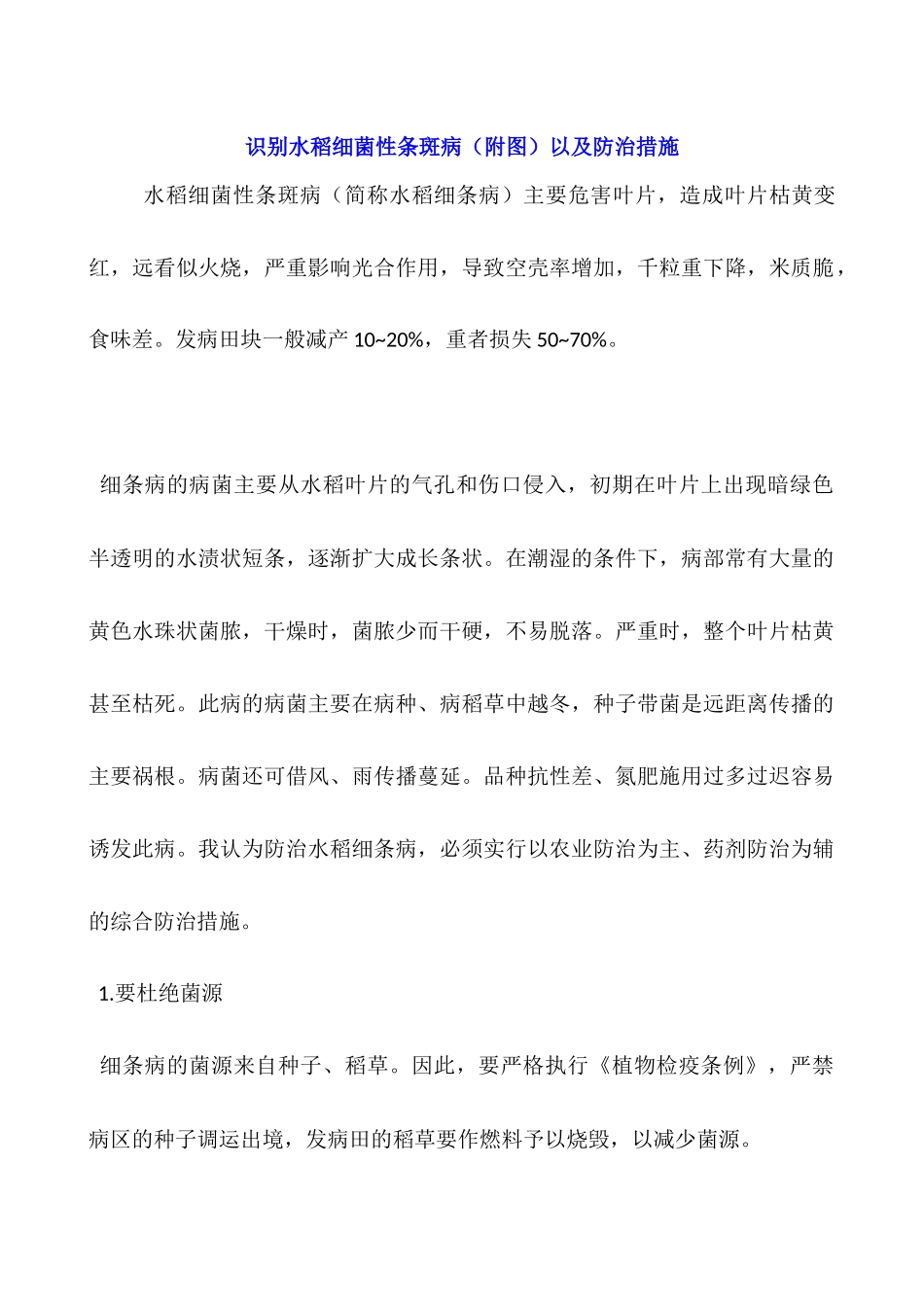 识别水稻细菌性条斑病以及防治措施_第1页