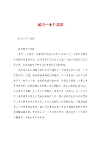 试用一个月总结