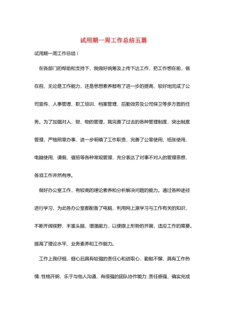 试用期一周工作总结五篇