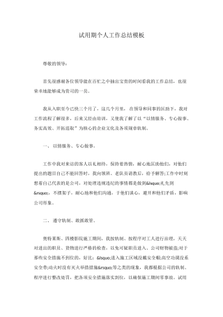 试用期个人工作总结模板