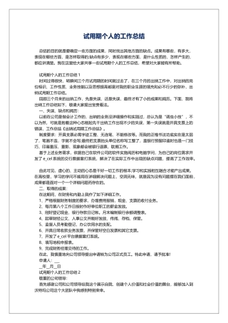 试用期个人的工作总结