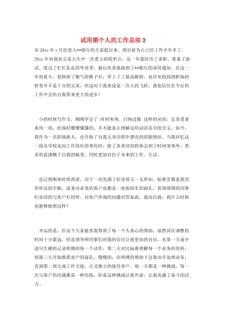 试用期个人的工作总结2