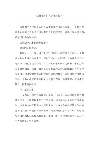 试用期个人述职报告