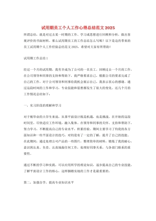 试用期员工个人工作心得总结范文2025