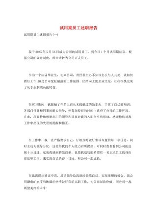 试用期员工述职报告