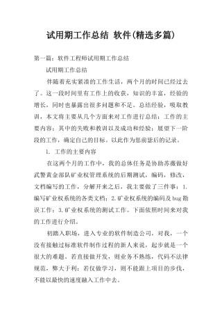 试用期工作总结-软件