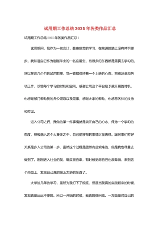 试用期工作总结2025年各类作品汇总