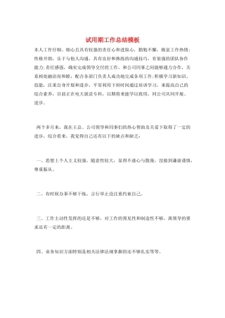 试用期工作总结模板
