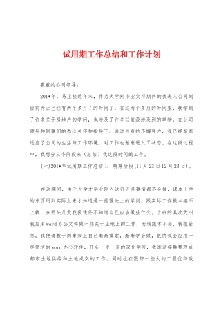试用期工作总结和工作计划