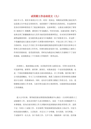 试用期工作总结范文(九)
