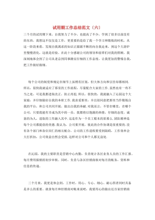 试用期工作总结范文(六)