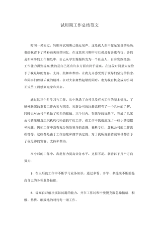 试用期工作总结范文