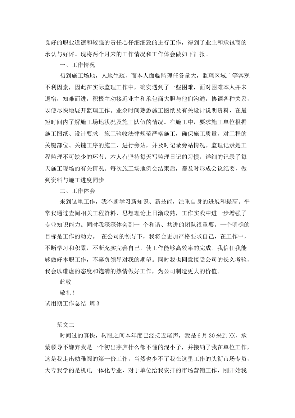 试用期工作总结锦集八篇_第3页