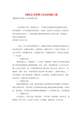 试用期工作总结锦集八篇