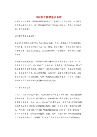 试用期工作描述及总结