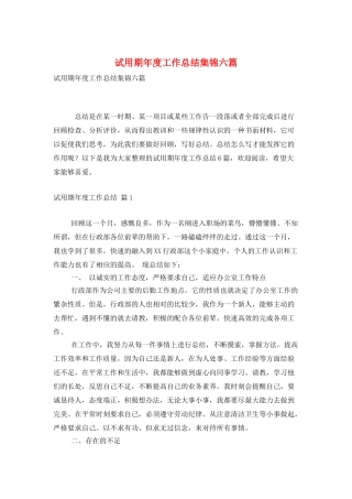 试用期年度工作总结集锦六篇