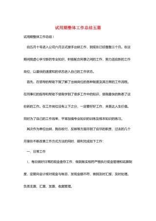试用期整体工作总结五篇