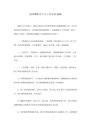 试用期转正个人工作总结2025