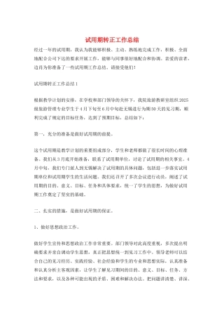 试用期转正工作总结