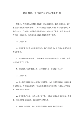 试用期转正工作总结范文2025年11月
