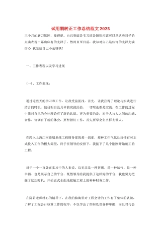 试用期转正工作总结范文2025