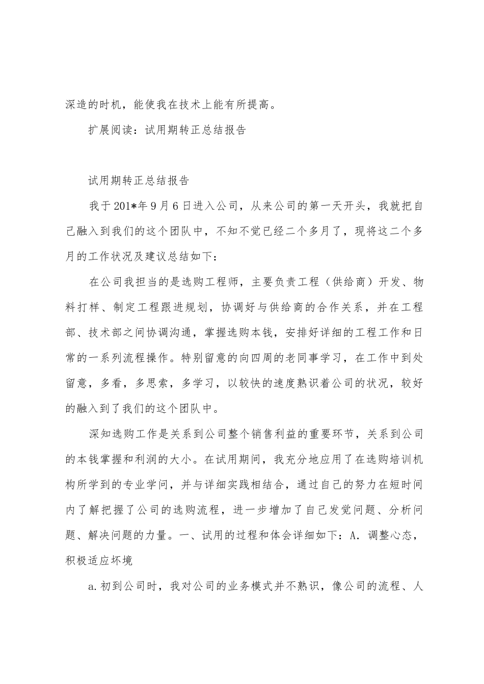 试用期转正报告_第3页