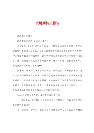 试用期转正报告