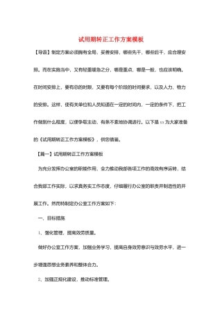 试用期转正工作计划模板