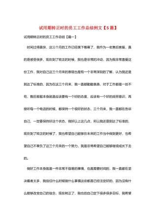 试用期转正时的员工工作总结例文