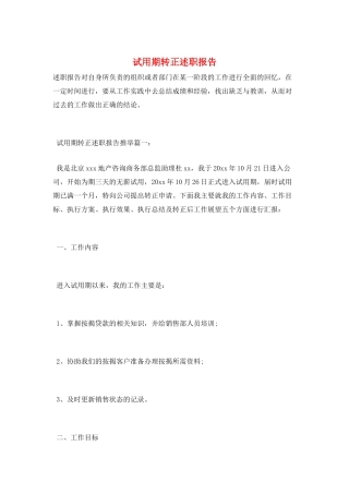 试用期转正述职报告