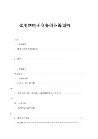 试用网电子商务创业计划书样本