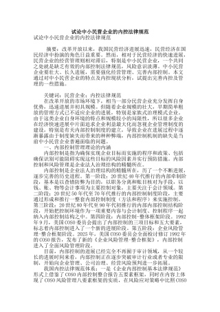 试论中小民营企业的内控规范