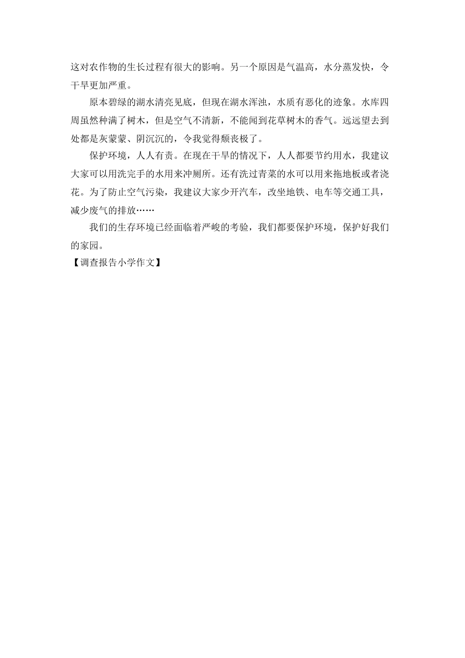 调查报告小学作文_第3页