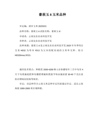 豪萩玉6号玉米品种