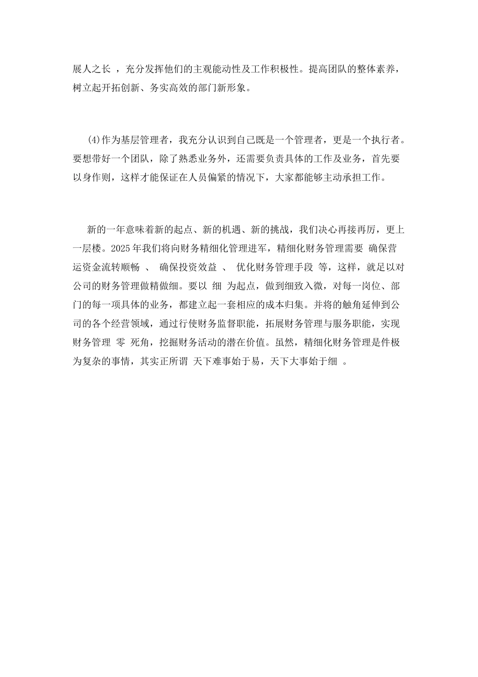 财务2025个人年度工作总结范文(三)_第3页