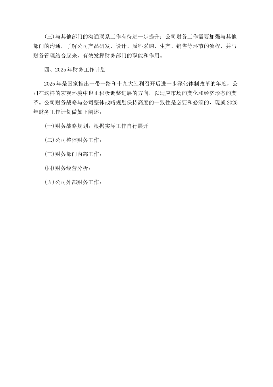财务2025年度工作总结及新年计划_第2页