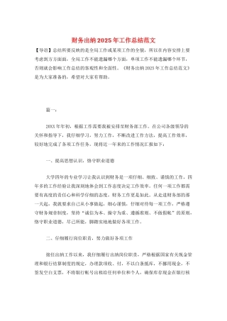 财务出纳2025年工作总结范文