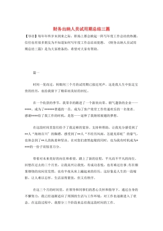 财务出纳人员试用期总结三篇