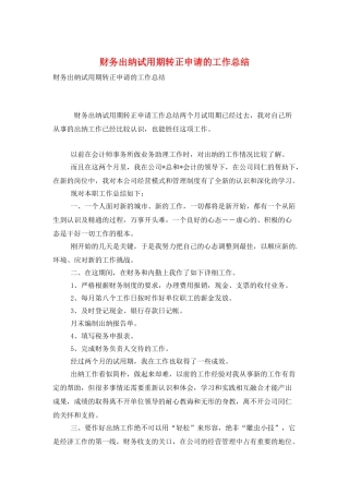 财务出纳试用期转正申请的工作总结