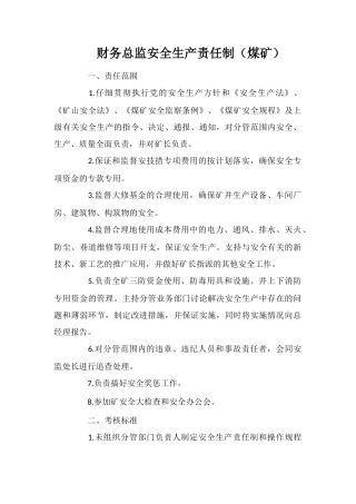 财务总监安全生产责任制