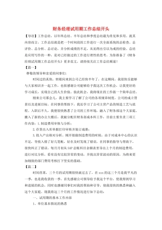财务经理试用期工作总结开头