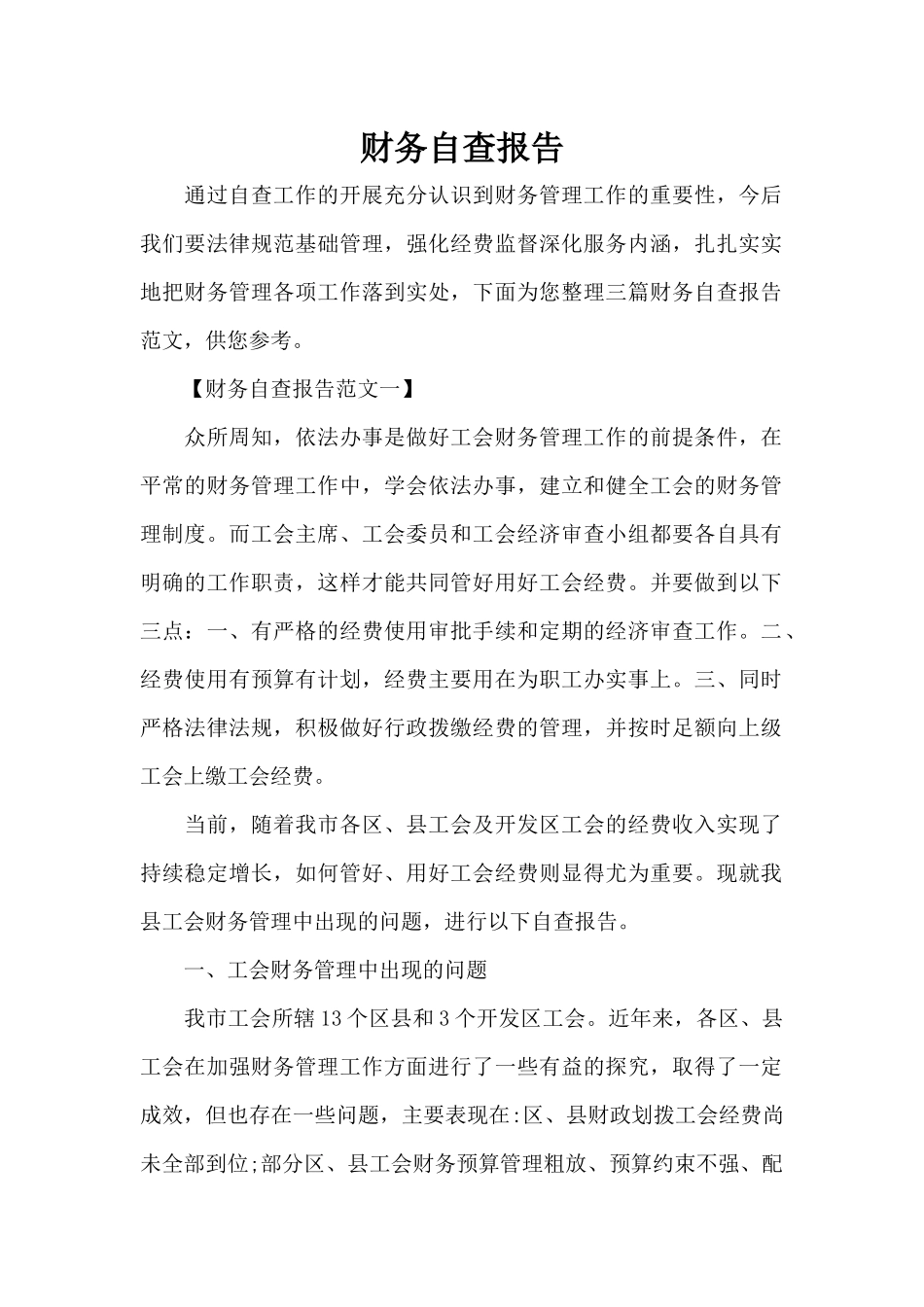 财务自查报告（标准版）_第1页